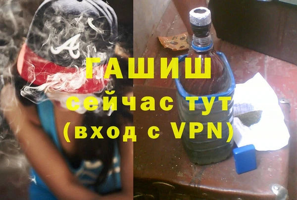 прущие грибы Инта